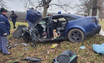 В Днепропетровской области Audi A6 слетел с дороги и врезался в дерево: есть пострадавшие