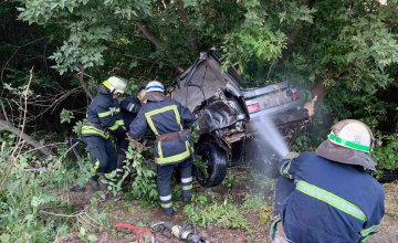 В Кривом Роге автомобиль съехал с дороги и влетел в дерево: погиб водитель и пассажир 