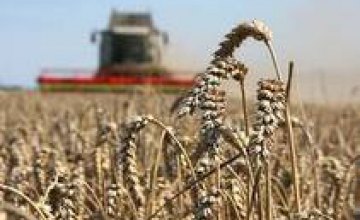 Отмена спецрежима налогообложения для аграриев уничтожит товарное производство в селе, – нардеп Валентин Дидыч