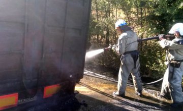 Сгорели колёса и пшеница: на Днепропетровщине на ходу загорелся грузовой автомобиль