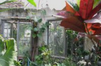 В Днепропетровске реконструируют ботанический сад ДНУ
