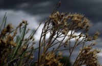 Жителей Днепра и области предупредили об ухудшении погодных условий 