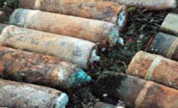 Жители Днепропетровской области нашли 69 боеприпасов времен ВОВ возле кургана