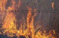 В Днепропетровске в результате возгорания камыша погибла женщина
