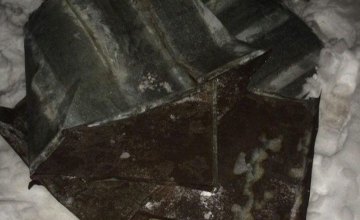 В Днепре «охотник за металлом» разбирал металлическую крышу частного здания