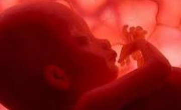 Ученые впервые сняли зарождение эмбриона внутри живого организма (ВИДЕО)
