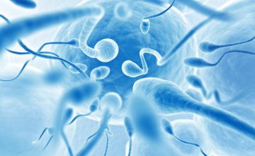 Ученые доказали, что мобильные устройства «убивает» сперму