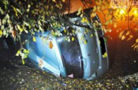 В Кривом Роге Suzuki слетела с дороги возле кладбища: погиб водитель (ФОТО)
