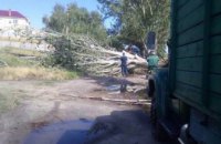 В Днепропетровской области в результате непогоды повалено около 200 деревьев