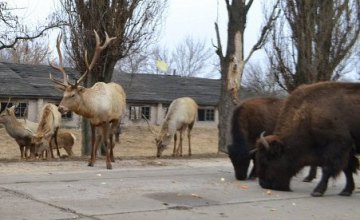 Как зимуют животные в заповеднике Павлоградского химзавода 