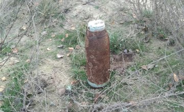 Под Павлоградом мужчина обнаружил артиллерийский снаряд и миномётную мину
