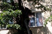 В Днепре спасатели сняли с дерева кота, который забрался на высоту 4-го этажа (ФОТО)