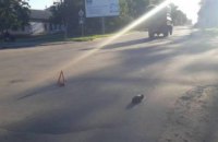 В Николаеве водитель сбил 8-летнего ребенка на пешеходном переходе и скрылся