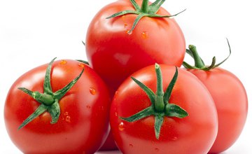 На Днепропетровщине обнаружили зараженные турецкие помидоры
