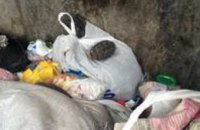 В Днепропетровске на пр. Кирова в мусорном баке нашли гранату