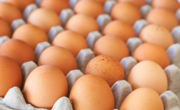 Яйца подорожали на 4,34%, а растительное масло упало в цене