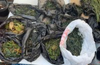Почти 6 кг каннабиса обнаружено у 37-летнего наркосбытчика в Кривом Роге