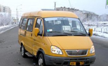 Начальник горэлектротранспорта Днепропетровска считает маршрутки «несерьезным транспортом»