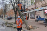 У Дніпрі через шквальний вітер комунальники працюють у посиленому режимі