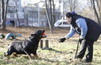 ​Замість майданчика для собак – нова дорога у приватному секторі. Як міська влада Дніпра відреагувала на скандал навколо Бюджету участі