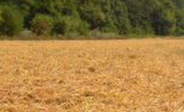 Жатва - на финише: аграрии Днепропетровщины соберут 2,3 млн тонн зерновых