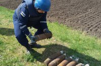 В Киеве в лесу обнаружили минометную мину
