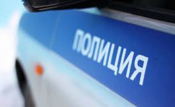 На Днепропетровщине полицейские выявили иномарку со сбитыми номерами кузова