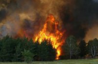 Днепропетровщина занимает второе место в Украине по количеству лесных пожаров, - ГСЧС
