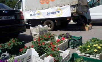 «Оппозиционная платформа – За життя» в Днепре в третий раз проводит конкурс «Городские цветы»