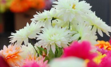 В Днепропетровске цветы стоимостью 50 центов продают по 50 грн