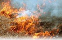 Этой весной на Днепропетровщине почти 1,7 тыс раз горел сухостой