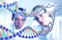 Ученые научились предсказывать успех по генам 