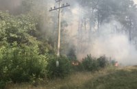​В Харьковской области трое суток тушили лесной пожар (ФОТО)
