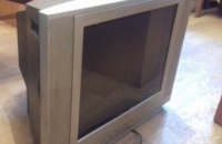 В Киевской области африканец украл телевизор