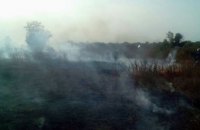 Масштабный пожар в Апостоловском районе: выгорело 5 га сухой травы и деревьев (ФОТО)