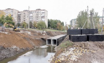 От подтоплений в домах спасут полторы тысячи жителей Кривого Рога - Валентин Резниченко