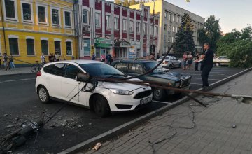 На Днепропетровщине на припаркованные авто упало 12-метровое дерево