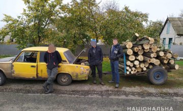 ​На Днепропетровщине автомобиль с прицепом и без номерных знаков перевозил незаконно срубленную древесину