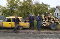 ​На Днепропетровщине автомобиль с прицепом и без номерных знаков перевозил незаконно срубленную древесину