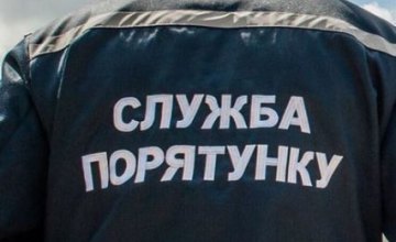 На Днепропетровщине из-за сильных порывов ветра на проезжую часть упало дерево