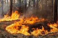 В Николаевской области за сутки погасили 17 пожаров