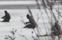 В Кривом Роге под лед провалились 2 человека: женщина спасена, мужчина пропал