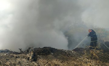 На Днепропетровщине горит свалка: огнем уничтожено 300 кв. метров
