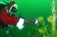 На дне Черного моря установили новогоднюю елку (ФОТО)