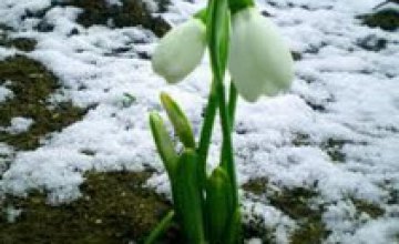 В Днепропетровск весна придет во второй половине марта