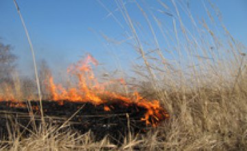 С весны на полях области уже почти 1200 раз горела стерня