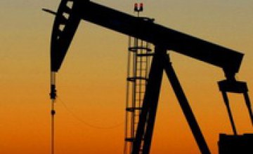 В Украине добыча нефти упала почти на 7%