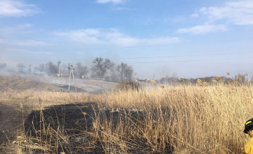В Криничанском районе сгорело 1,6 га сухостоя