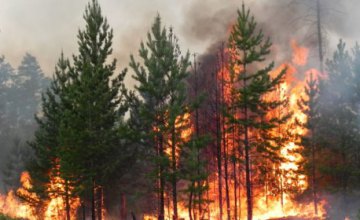 Днепропетровщина ежегодно занимает 1-ое место в Украине по количеству пожаров в экосистемах, - Сергей Качан