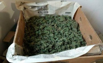 В Херсонской области у сельских жителей изъяли марихуаны на 1 млн грн (ФОТО)
